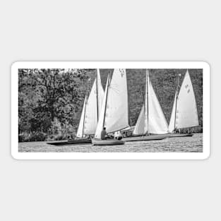 Pack of brown boats on the Norfolk Broads Sticker